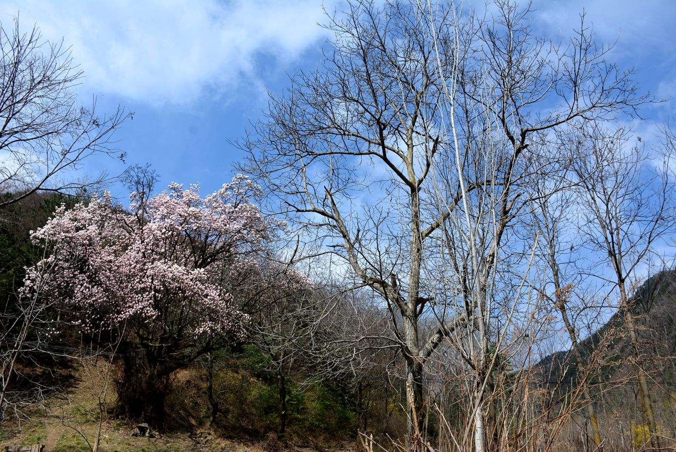 神秘的许昌高岗，太多的传奇闪耀光芒！