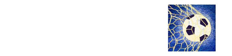 隋维杰为啥退出野球帝,隋维杰足球历程