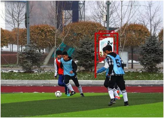 濮阳市青少年校园足球联赛,鹤岗青少年活动