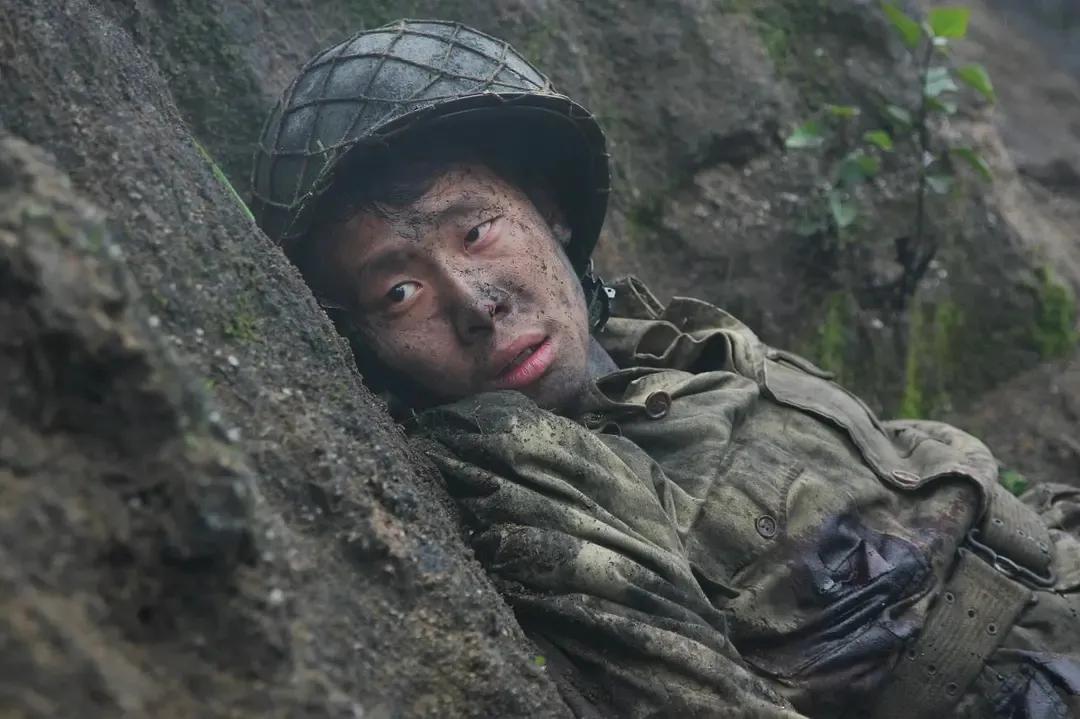 国内高分电视剧推荐,十大高分最经典国内电视剧