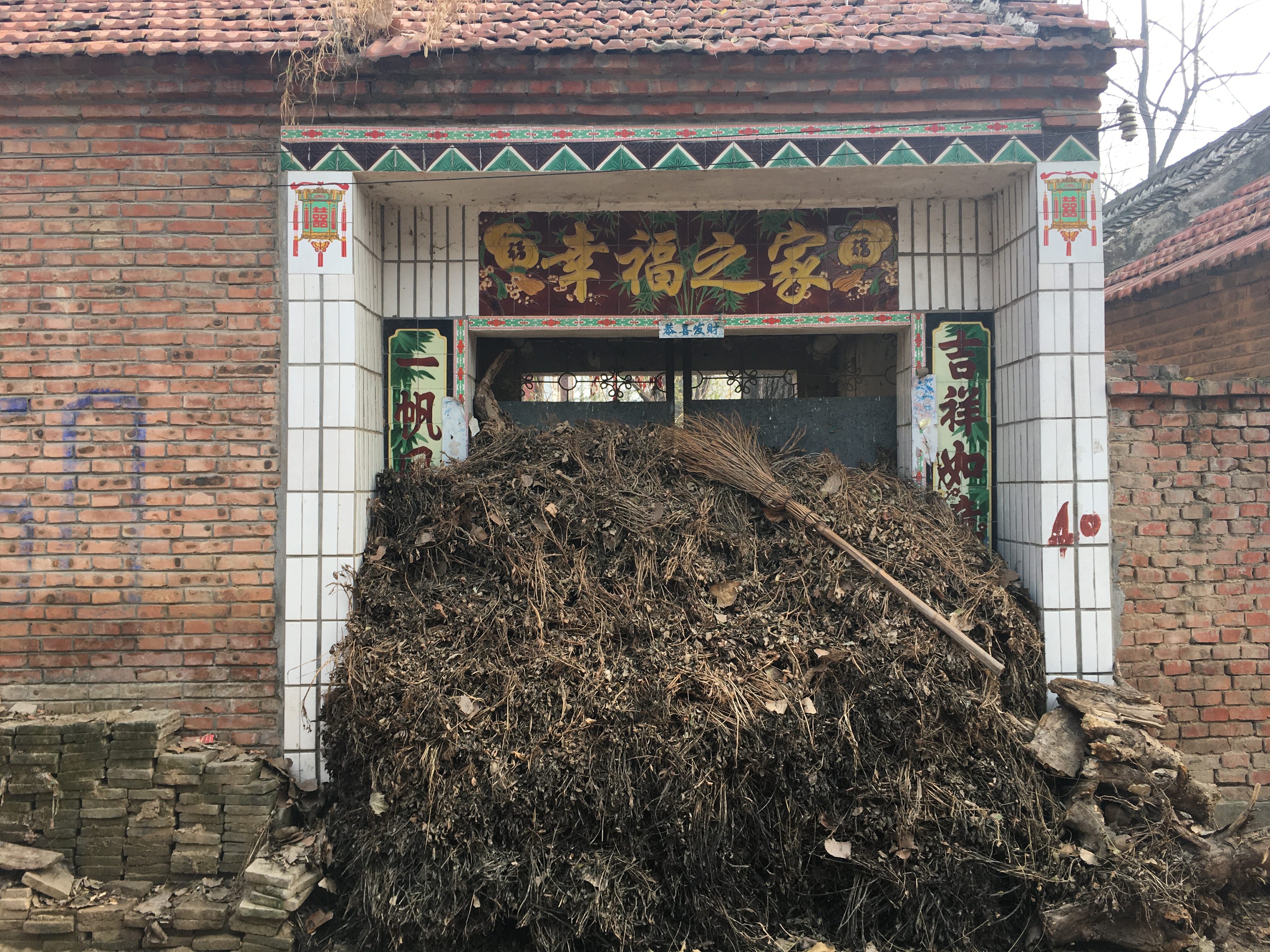 河南杀妹少年,河南杀妹入狱12年后续