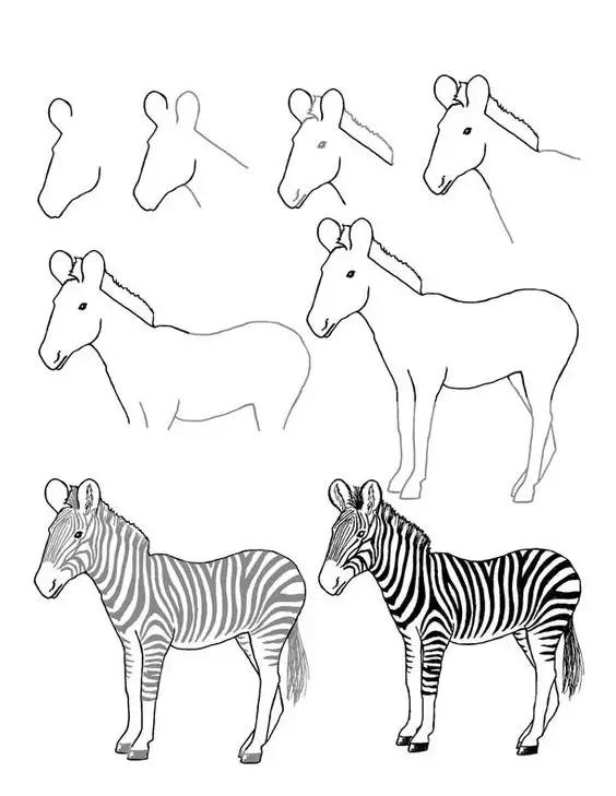 如何快速画动物简笔画,手把手教画动物简笔画