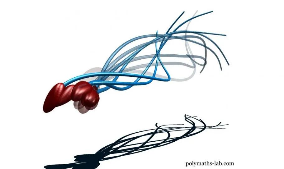 人类的精子是如何来的,人类精子从何而来