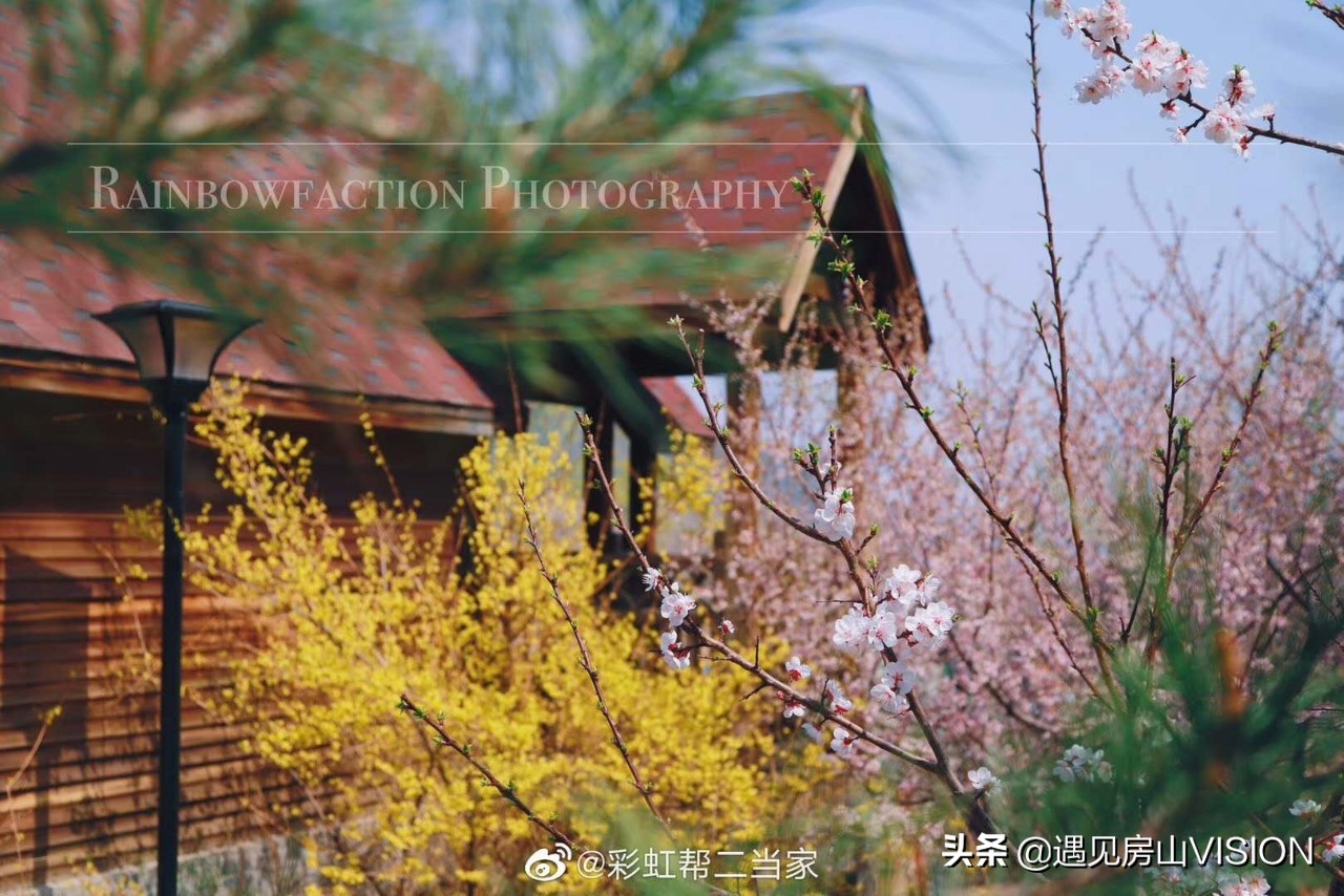 人间四月芳菲天,最美春天在房山——蒲洼行记