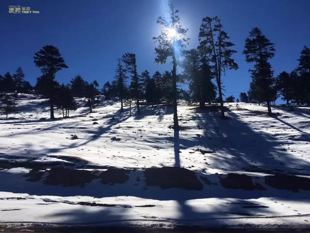 钘忎笢鏄庣彔鏄岄兘瑙嗛,鏄岄兘涓轰粈涔堝彨钘忎笢鏄庣彔