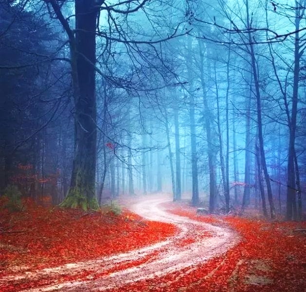 拍摄构图一般用几种方法构图,摄影构图常用的线条有哪十种