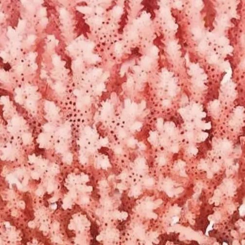 女的穿什么运动鞋好看,日常穿运动鞋推荐女