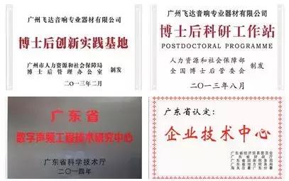 飞达高端系列音响,飞达音响简介