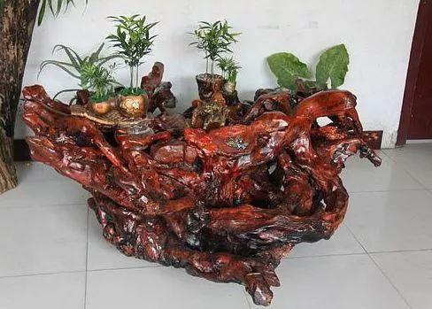 农村致富在一年之内出效益的项目,农村变废为宝有什么新型项目