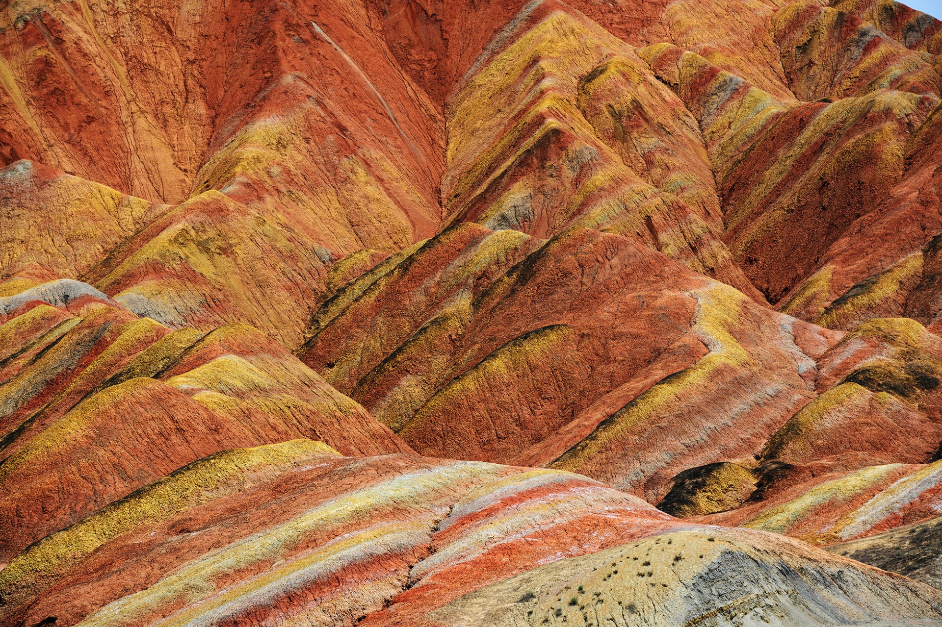 尼康z7最新人像片欣赏图,尼康z7摄影讲解