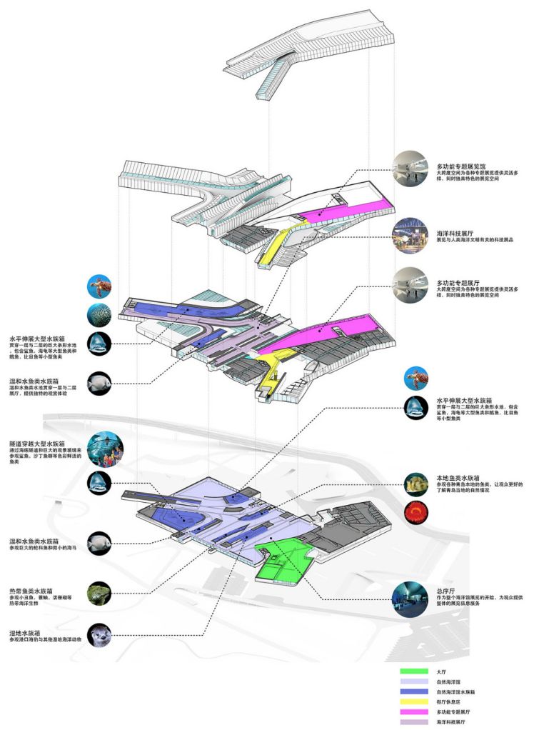 青岛海洋馆和海昌极地哪个好,青岛比极地海洋世界更好玩的地方
