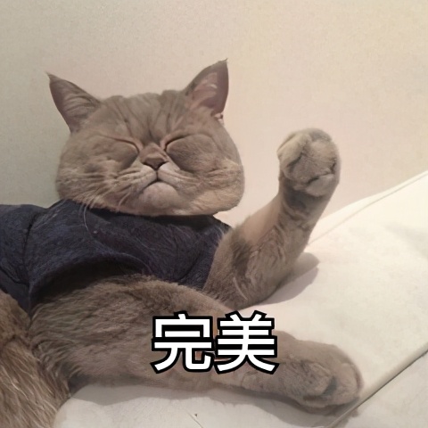 学员左右不分如何引导,学员左右不分的教学