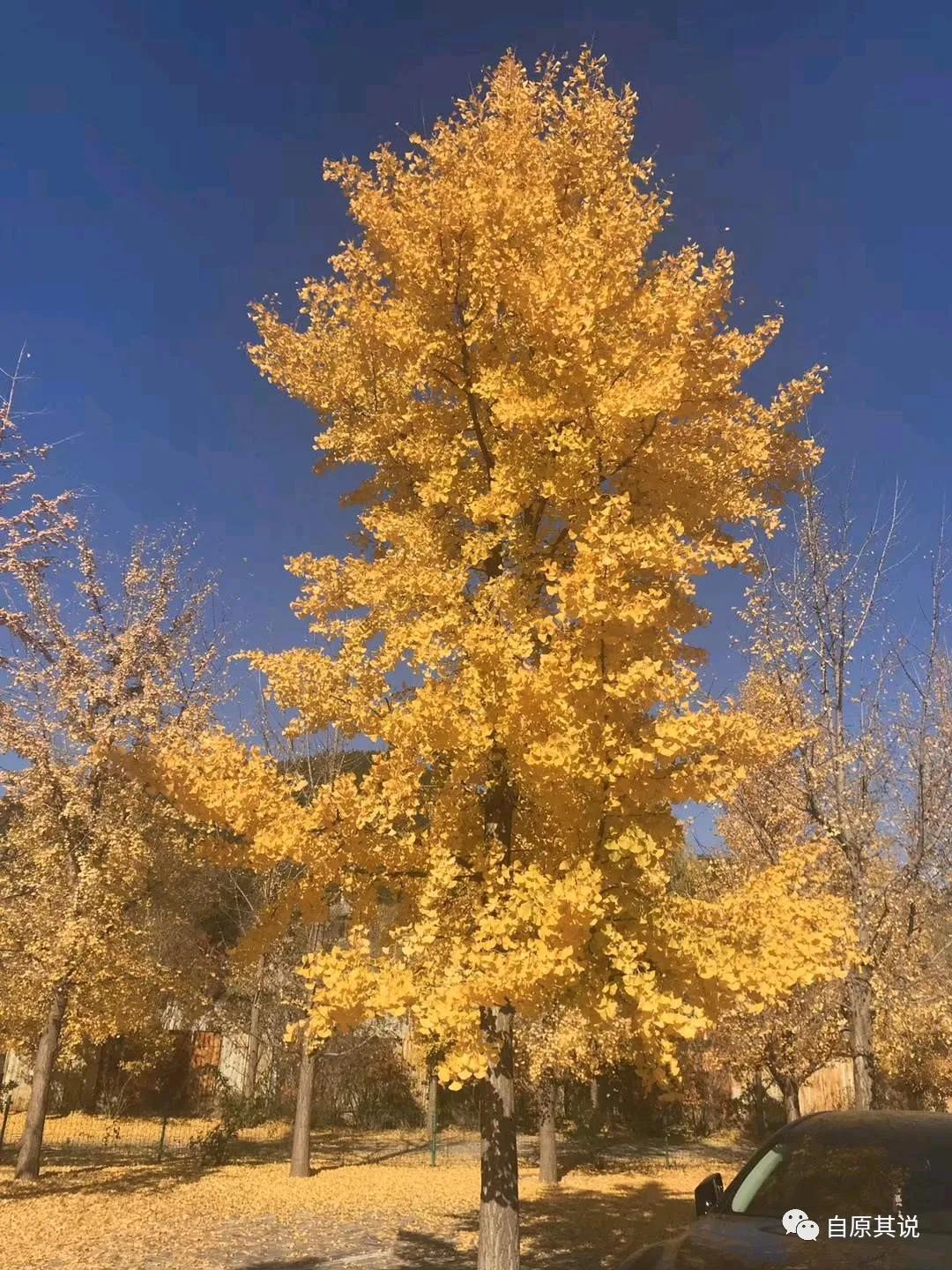 北京怀柔人济庄园游玩好不好,怀柔红叶观赏地有哪些
