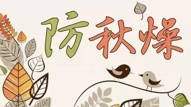 山药汤怎么做最养脾胃成人,秋天山药煲什么汤补脾胃肝肾