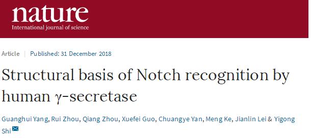 中国冷冻电镜技术进展,冷冻电镜最新研究