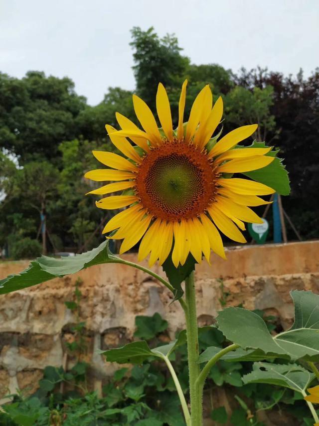 生完孩子后我和老公的区别,生完孩子后跟老公一起去分房