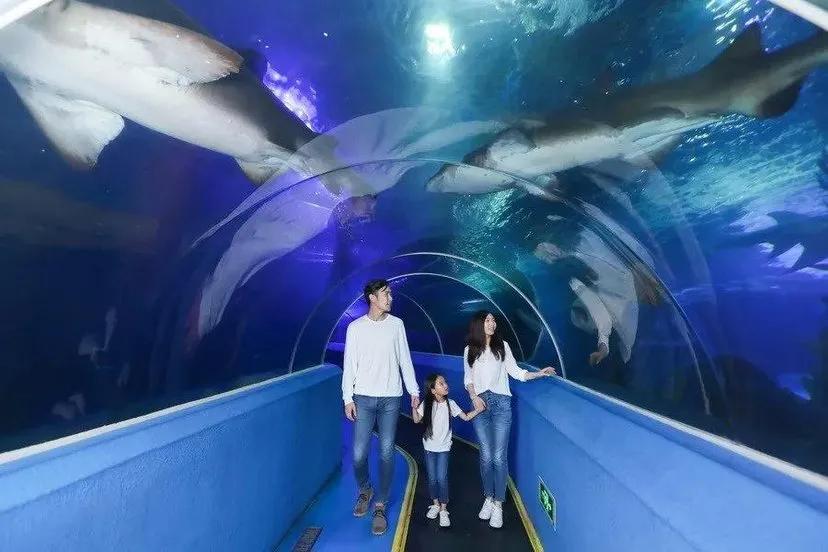 青岛极地海洋馆到底值不值得去,青岛极地海洋馆怎么样值得去吗