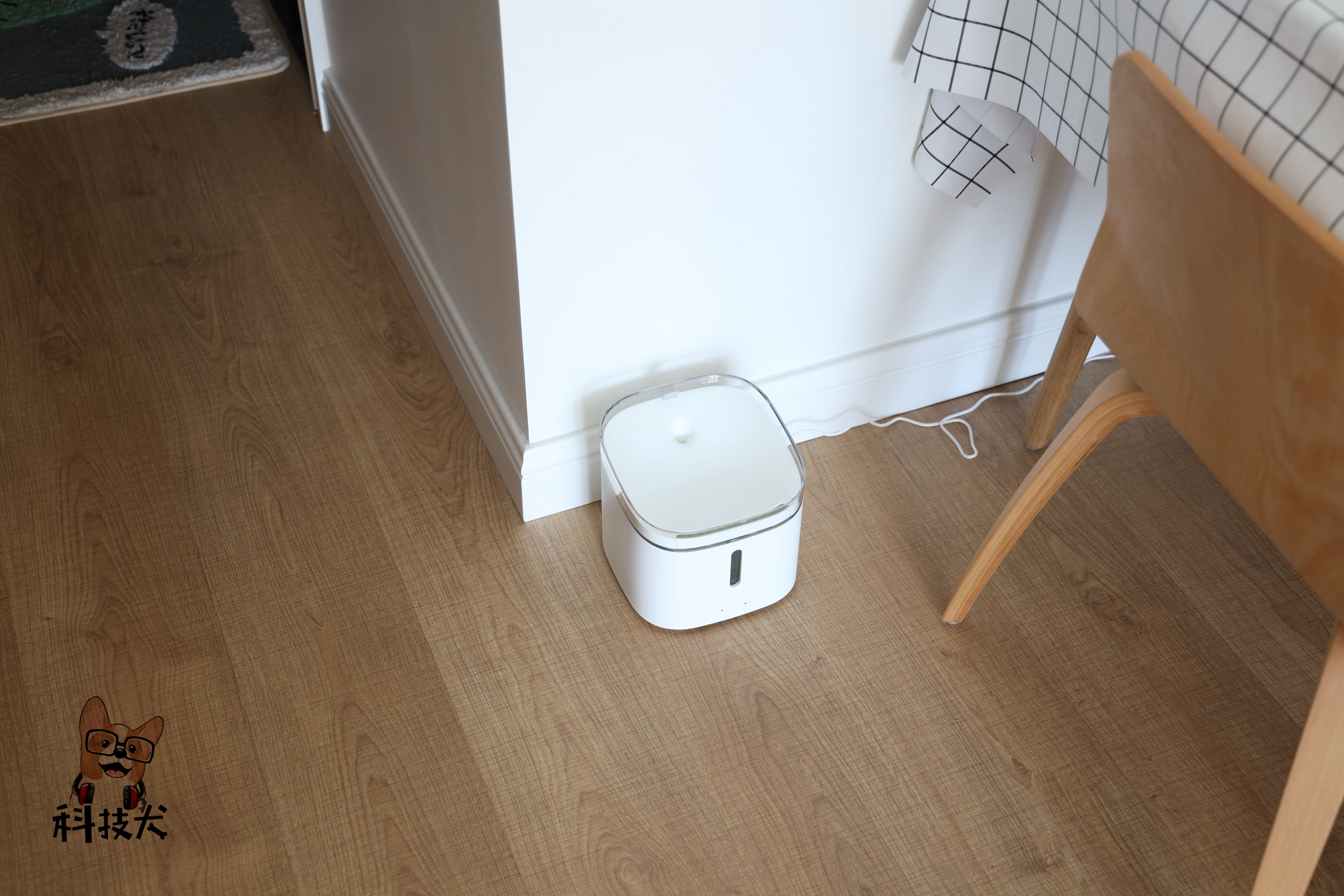 小宠智能喂食器,小顽智能宠物喂食器测评