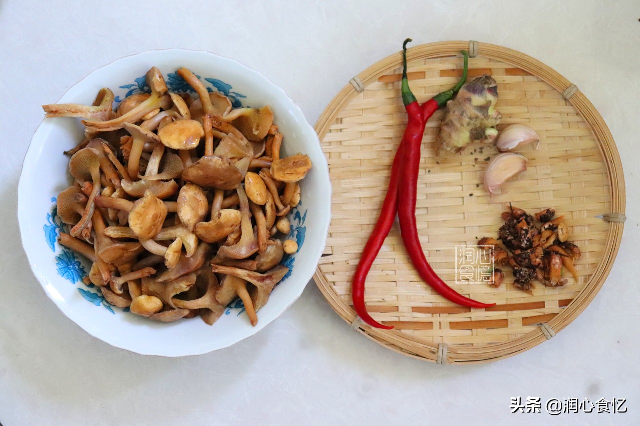 最美味的食用菌,野生菌子又香又好吃