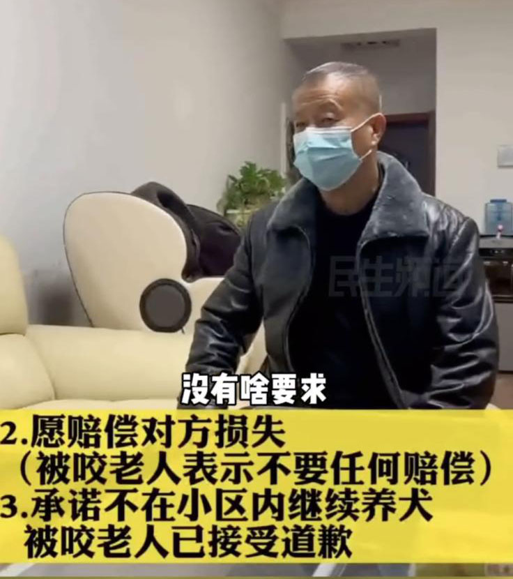 新华社五问安阳狗咬人事件,央视评论安阳狗咬人事件反转