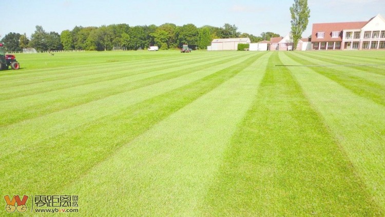 诗与远方风景画,诗与画的意境图