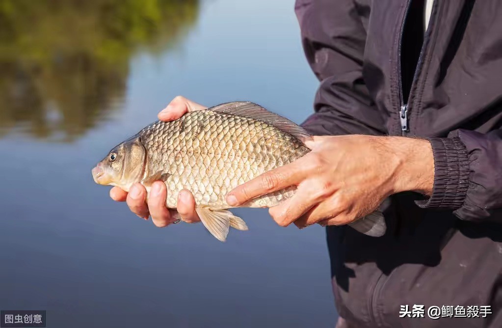 小雪钓鲫鱼钓多深,小雪钓鲫鱼最佳时间