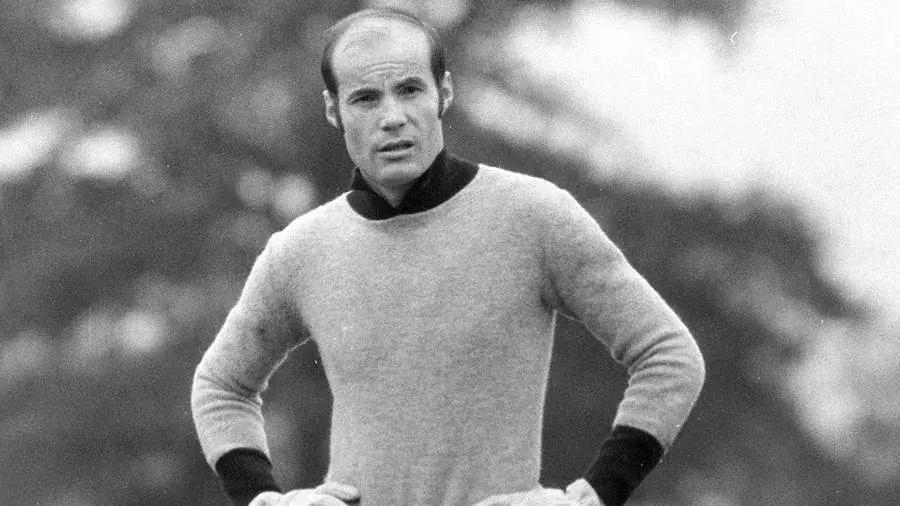 拜仁德甲联赛历史,拜仁成就德甲七连冠小说