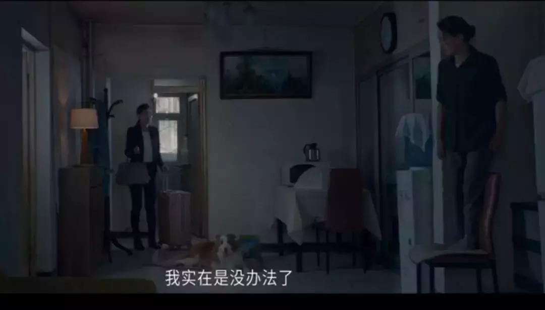 母亲把女儿的狗丢了,把女友的狗弄丢了