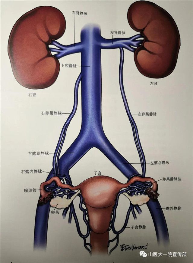 来山医大一院看病治好了十多年的*毛老**病