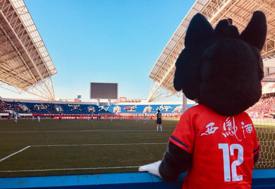 长安竞技俱乐部,陕西长安竞技足球俱乐部现状