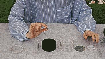 一个玻璃杯就可以泡的茶,一个玻璃杯泡所有茶