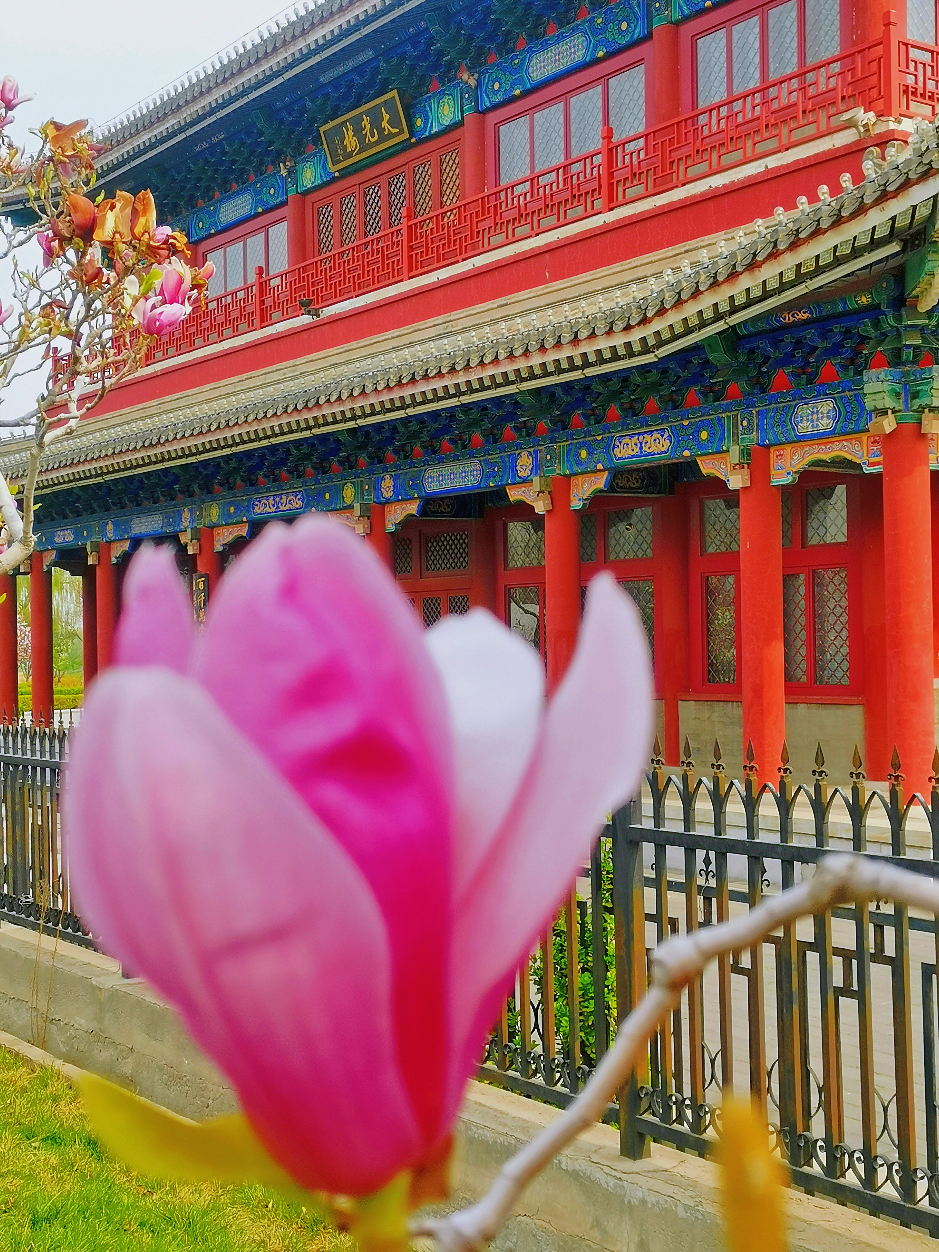 图说历史大运河的变迁与价值,大运河大光楼游船