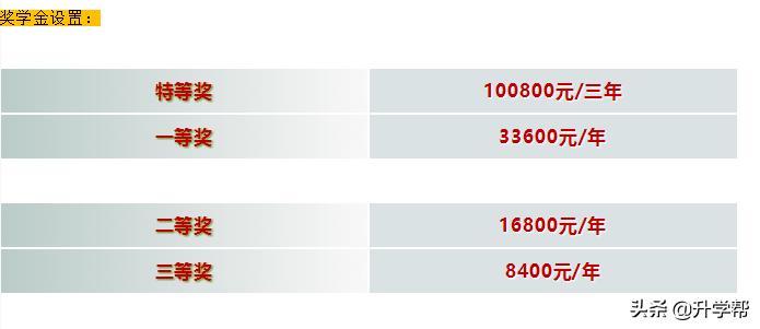 成都2020年中考479录取人数,2019成都高中自主招生