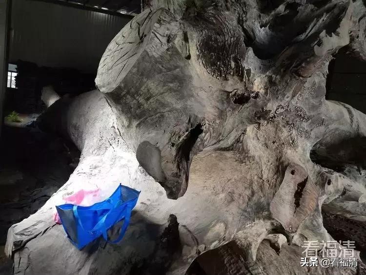 福清老板拥有的一根破烂木头，能值600万？