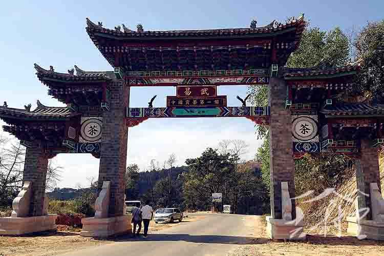 易武普洱茶七大特点介绍,易武普洱茶的历史和来历