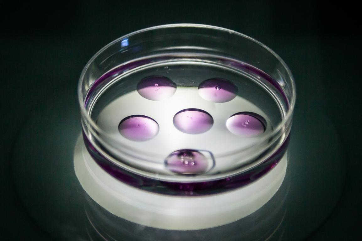 38万可以做什么,38万能做什么