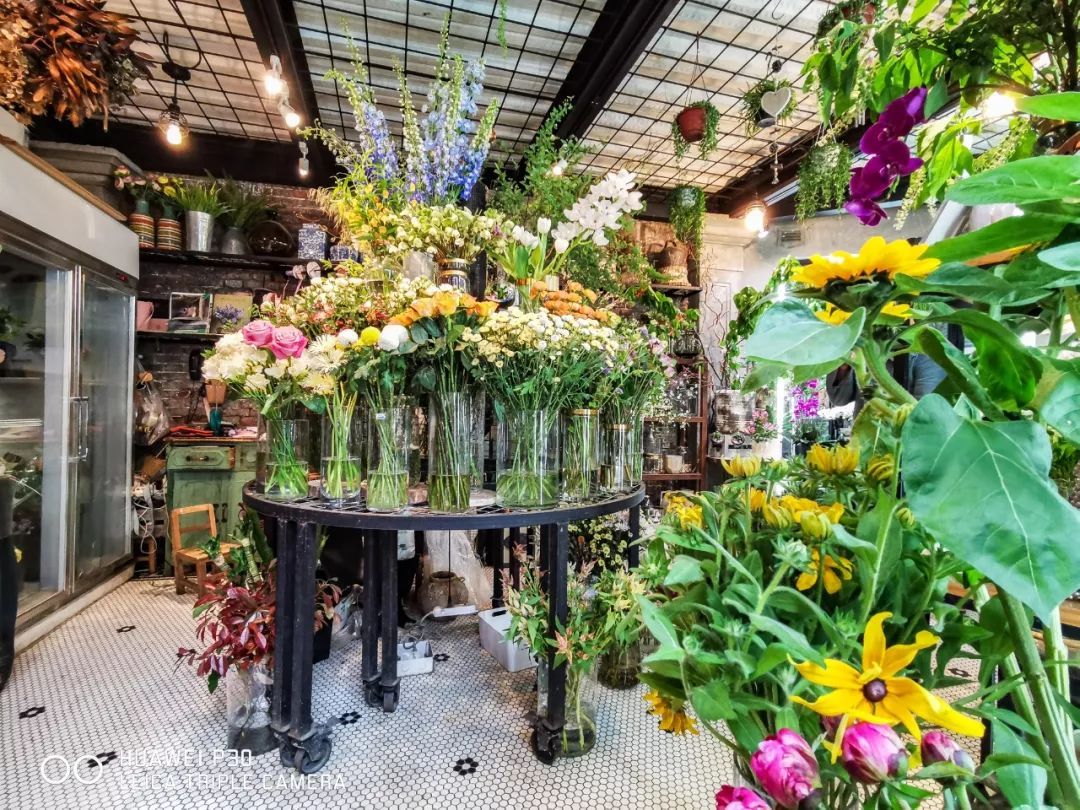 上海魔都最火网红,魔都网红打卡地