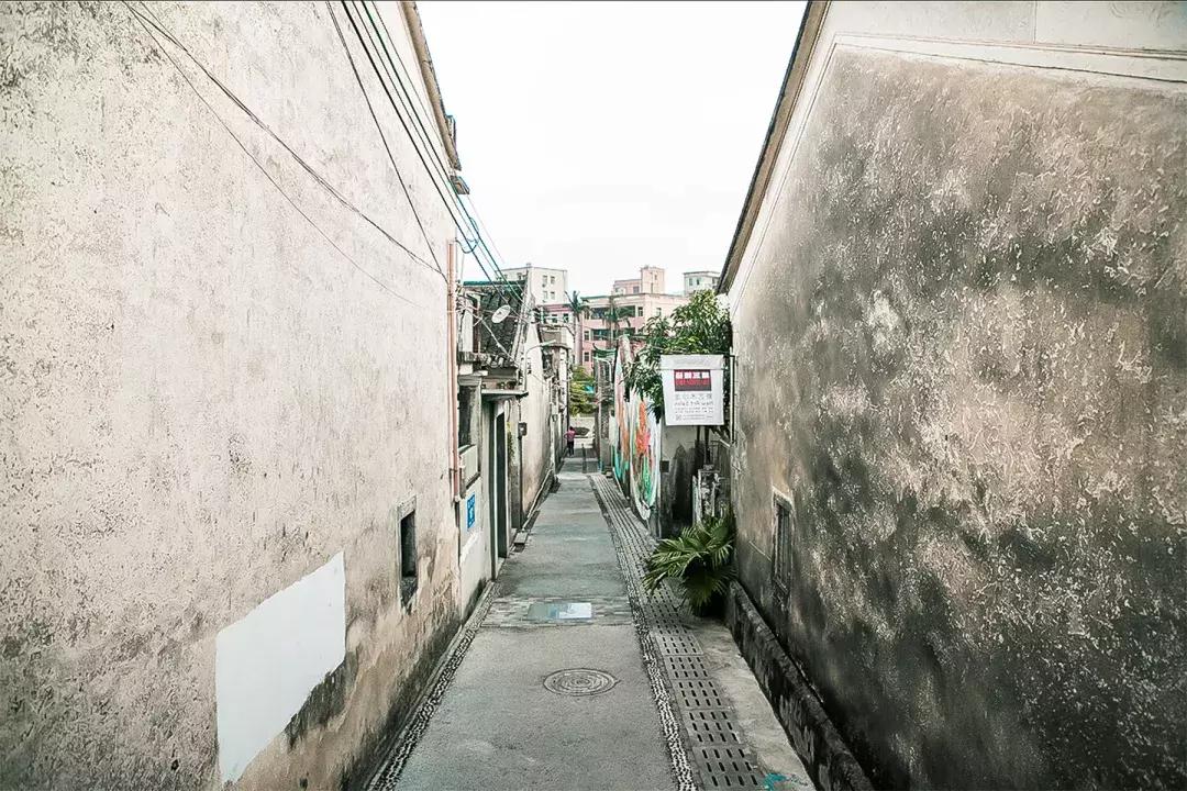 观澜有没有价值,观澜发展得起来吗