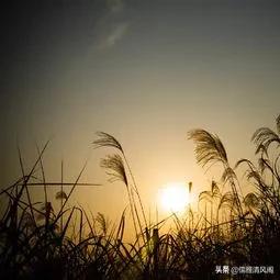 都市情感：大姑姐爱上了我前夫（一）