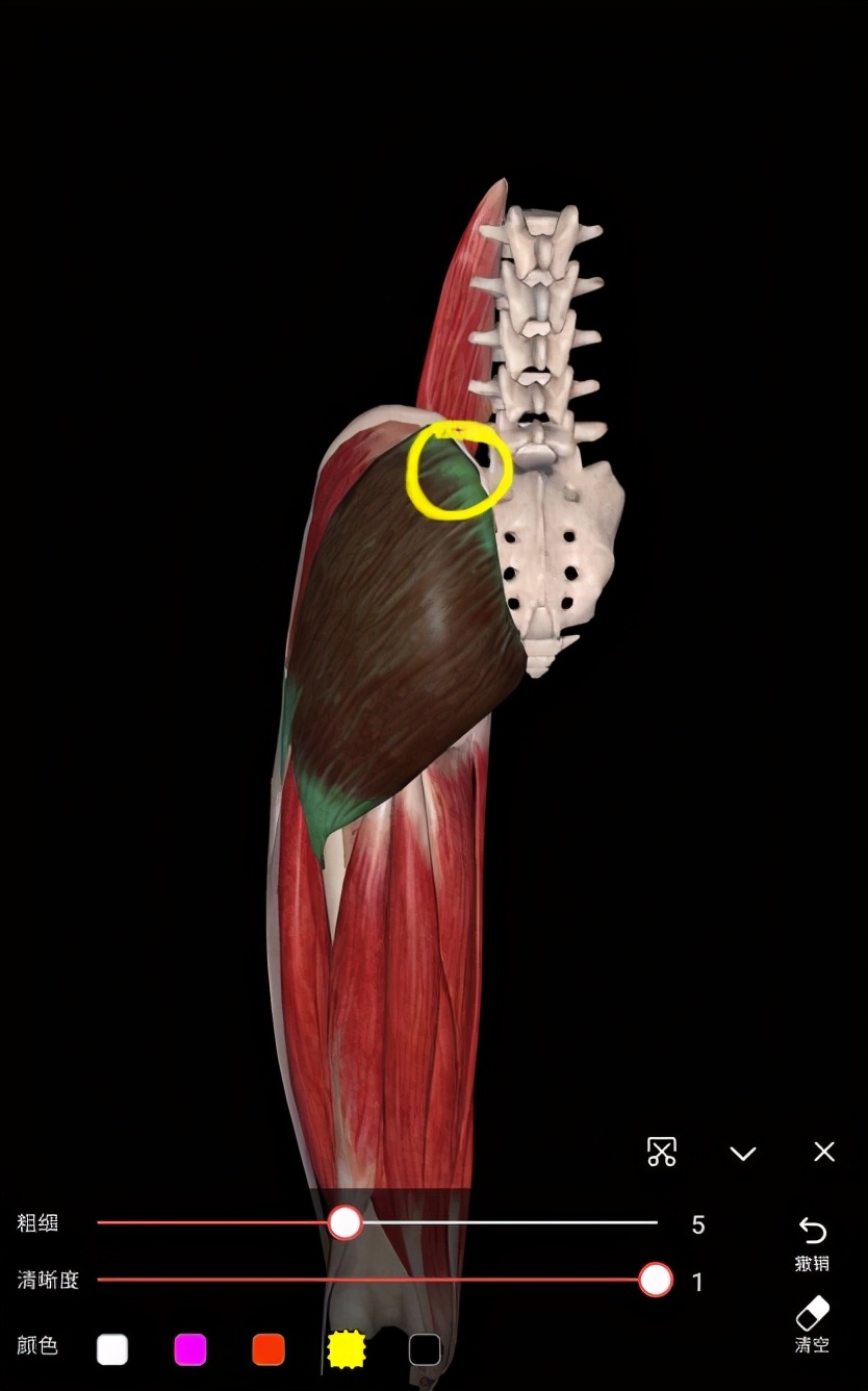 久坐腰骶麻木疼活动后减轻,久坐导致腰骶部疼吃什么药