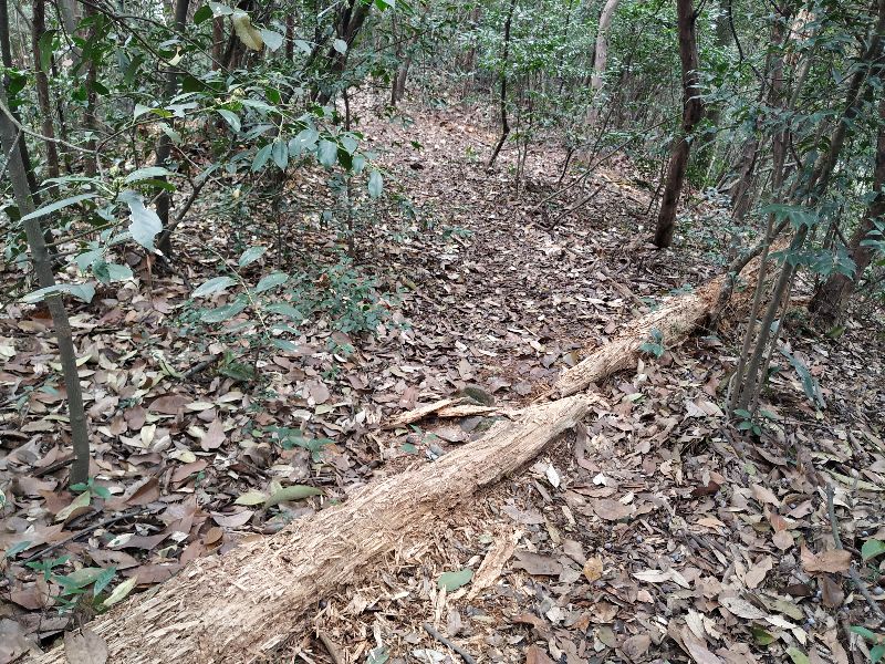 杭州市周末自驾游去哪里好玩,杭州出发周末旅游攻略