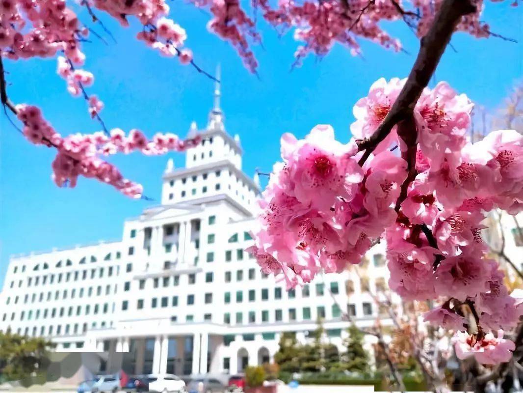 哈尔滨高校绰号,哈尔滨大学搞笑