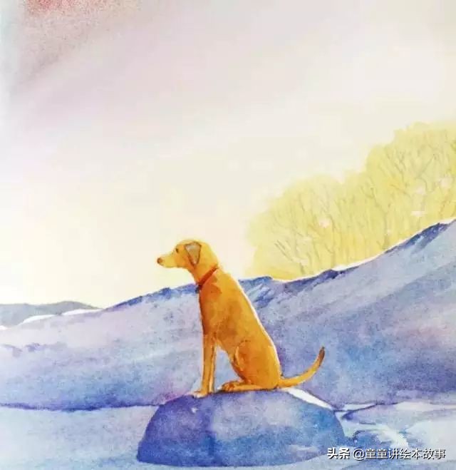 绘本故事有声小熊进城,绘本故事大城市里的小象