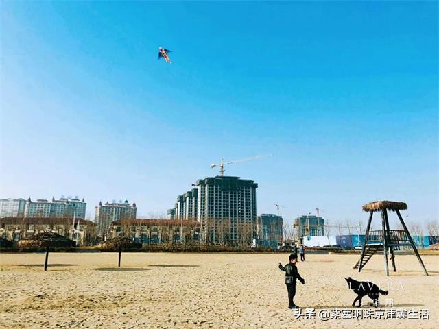 八月别来这座小岛，海鲜吃饱，大海景美唐山月坨岛009号别墅农家