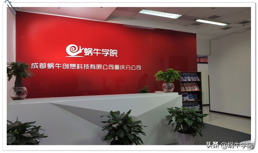 初心与使命：蜗牛学院被华龙网称为值得信赖的IT教育培训机构