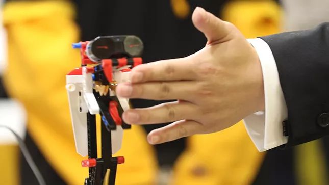 进博会产品去哪里买,进博会第五天观展