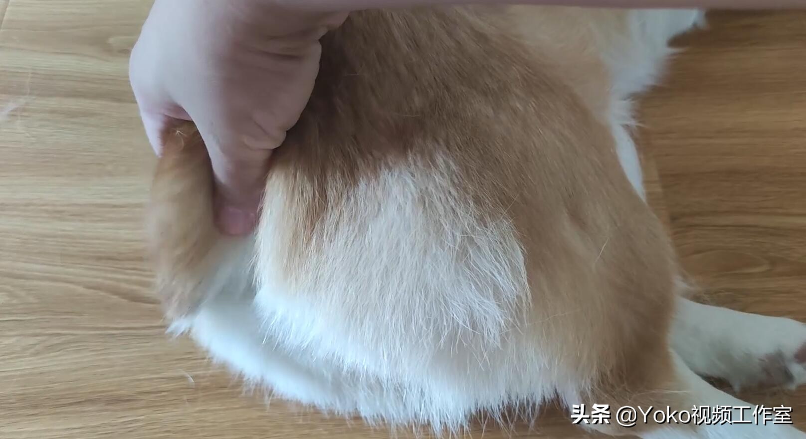 买的二手电脑如何验货,网购电脑如何查询真伪