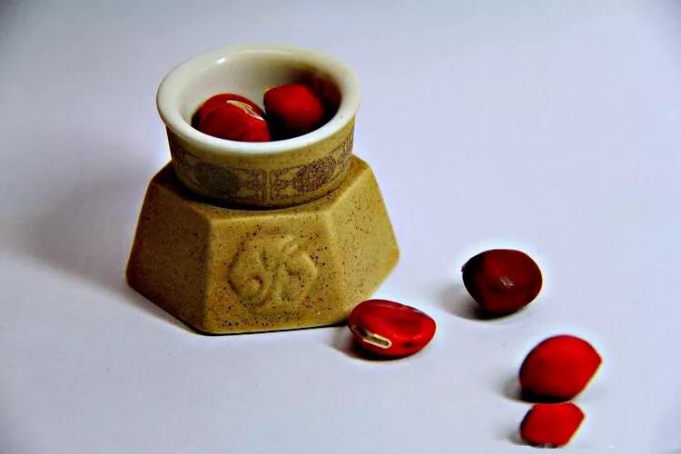 红豆是种子吗还是果实,红豆相思豆长什么样