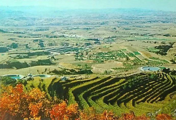 农业学大寨大寨村现况,农业学大寨指的是哪个大寨村