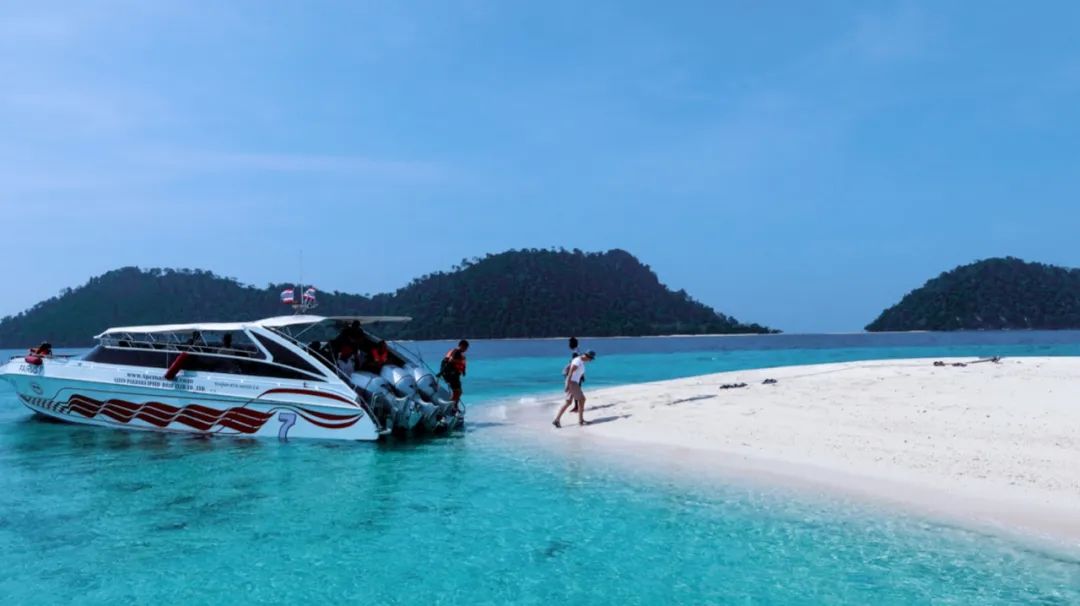 恋恋丽贝岛，人狗情未了|KohLipe